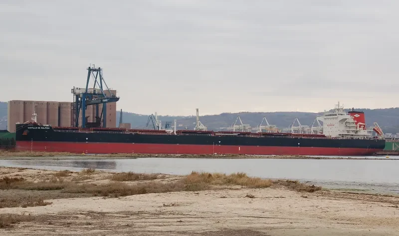 CASTILLO DE MALPICA Bulk Carrier IMO 9722962 photo 9