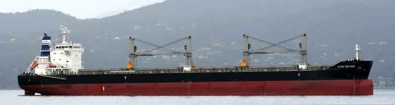 DAYANG CONFIDENCE Bulk Carrier IMO 9723057