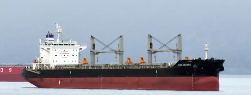 DAYANG CONFIDENCE Bulk Carrier IMO 9723057 photo 2