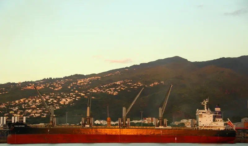 DAYANG CONFIDENCE Bulk Carrier IMO 9723057 photo 7