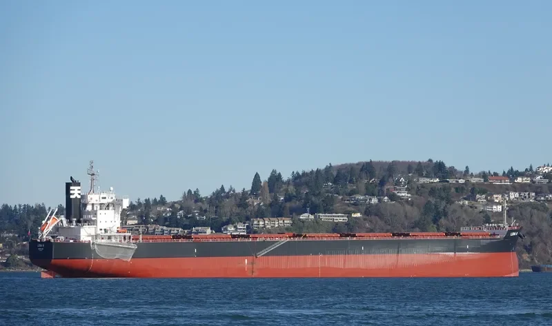 THE PROSPERITY Bulk Carrier IMO 9723148