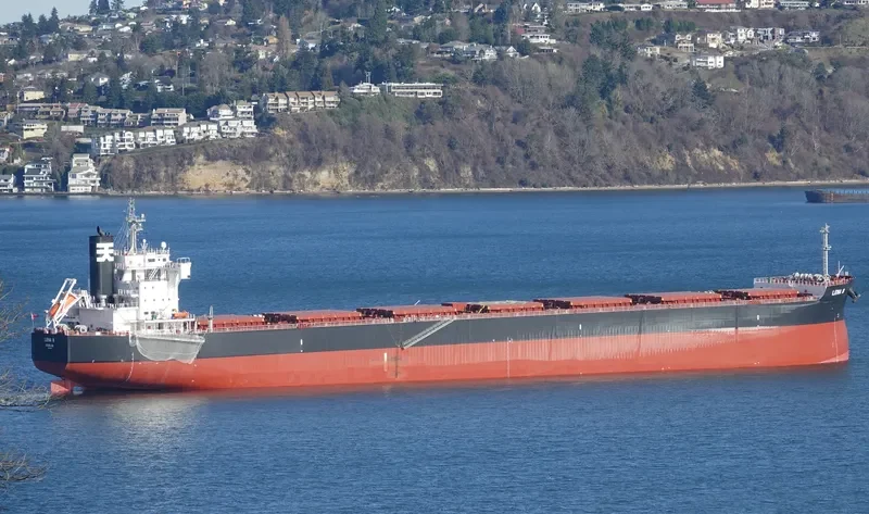 THE PROSPERITY Bulk Carrier IMO 9723148 photo 2