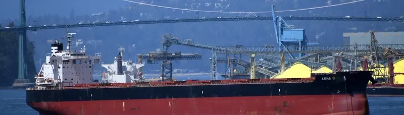 THE PROSPERITY Bulk Carrier IMO 9723148 photo 4