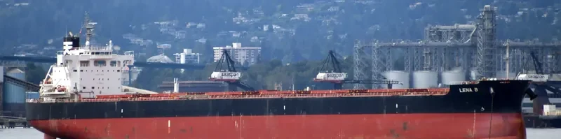 THE PROSPERITY Bulk Carrier IMO 9723148 photo 9