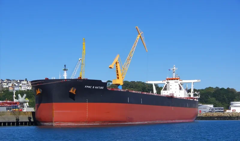 FPMC B NATURE Bulk Carrier IMO 9723162 photo 5