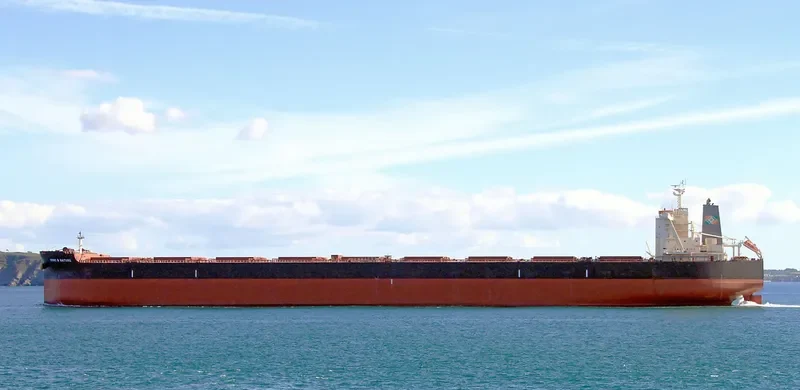 FPMC B NATURE Bulk Carrier IMO 9723162 photo 9