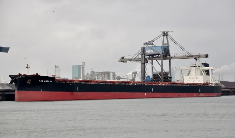 TRUE COMPASS Bulk Carrier IMO 9723174 photo 5