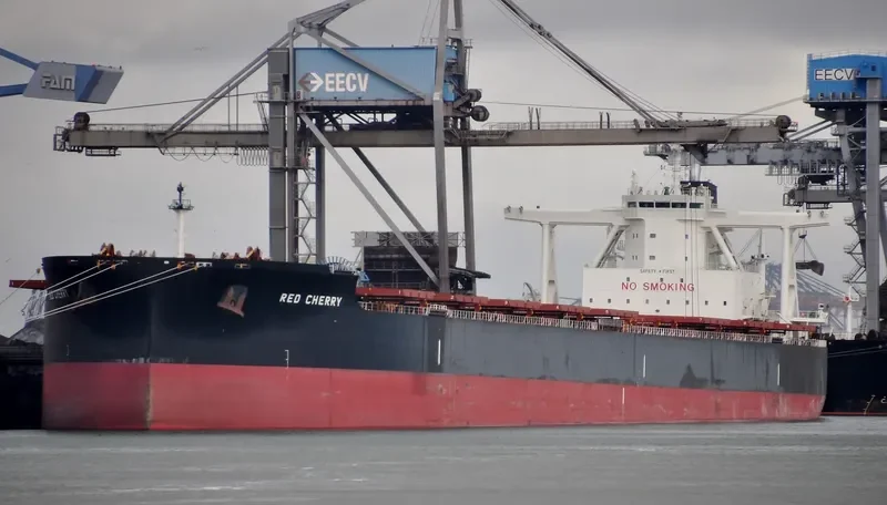 TRUE COMPASS Bulk Carrier IMO 9723174 photo 7