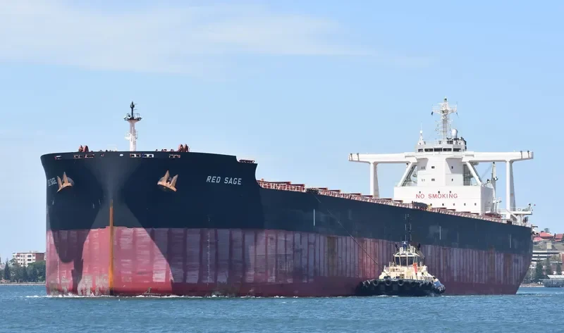 RED SAGE Bulk Carrier IMO 9723186 photo 5
