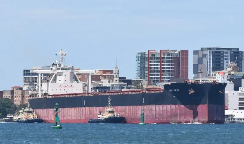 RED SAGE Bulk Carrier IMO 9723186 photo 7