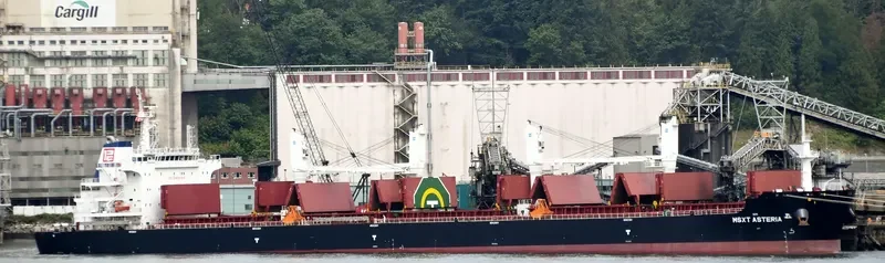 MSXT ASTERIA Bulk Carrier IMO 9723203