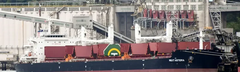 MSXT ASTERIA Bulk Carrier IMO 9723203 photo 2