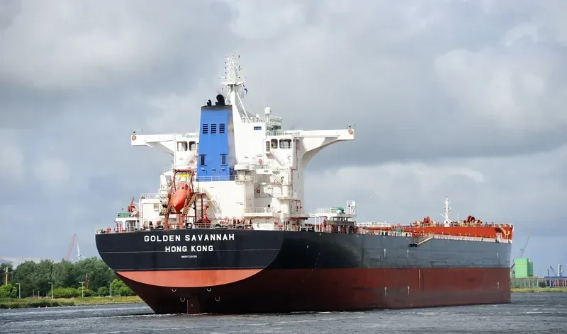 GOLDEN SAVANNAH Bulk Carrier IMO 9723538 photo 2