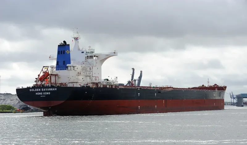 GOLDEN SAVANNAH Bulk Carrier IMO 9723538 photo 3