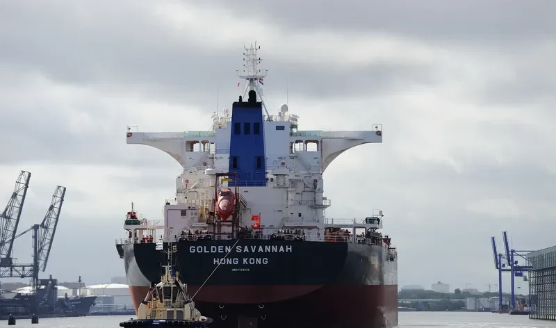 GOLDEN SAVANNAH Bulk Carrier IMO 9723538 photo 4