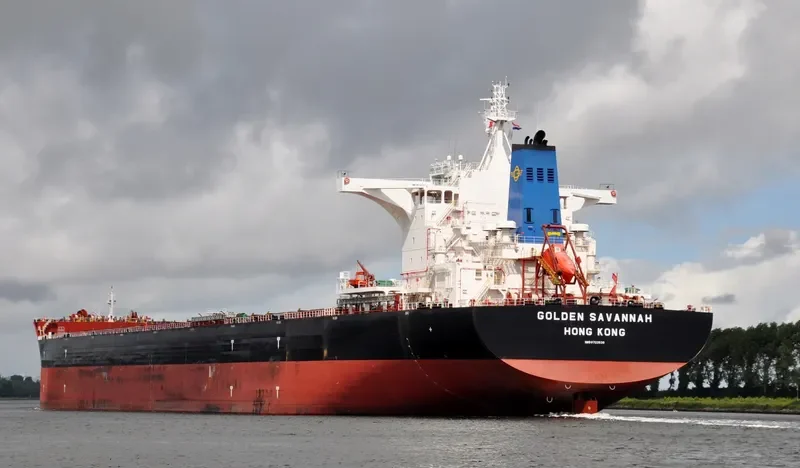 GOLDEN SAVANNAH Bulk Carrier IMO 9723538 photo 5