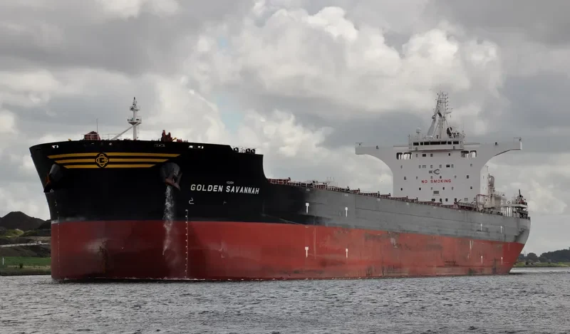 GOLDEN SAVANNAH Bulk Carrier IMO 9723538 photo 6