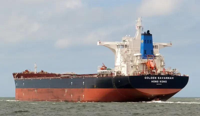GOLDEN SAVANNAH Bulk Carrier IMO 9723538 photo 7
