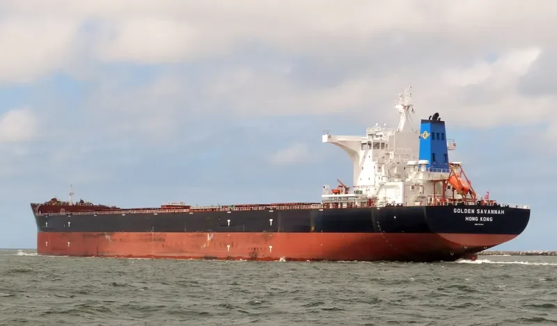 GOLDEN SAVANNAH Bulk Carrier IMO 9723538 photo 8