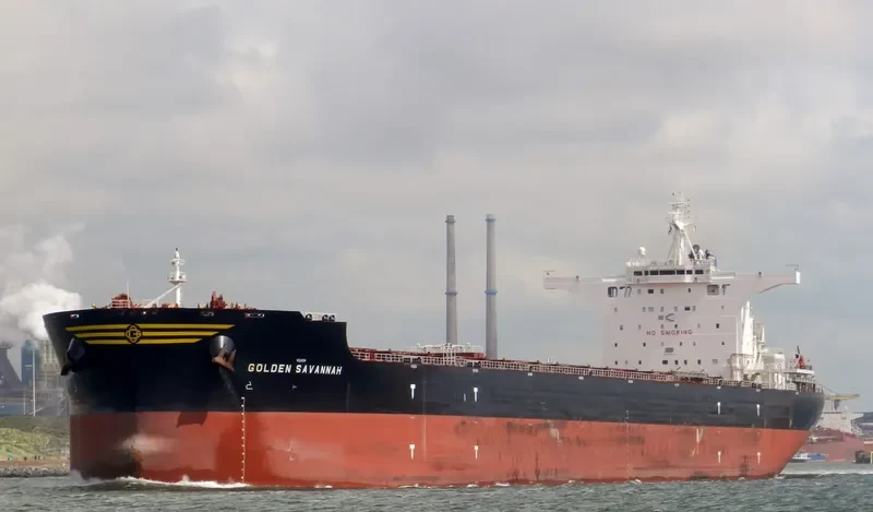 GOLDEN SAVANNAH Bulk Carrier IMO 9723538 photo 9