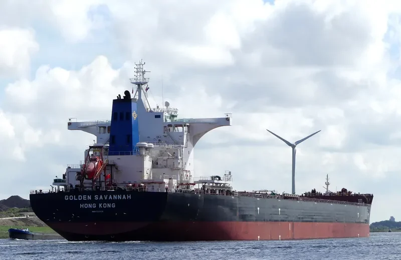 GOLDEN SAVANNAH Bulk Carrier IMO 9723538 photo 10