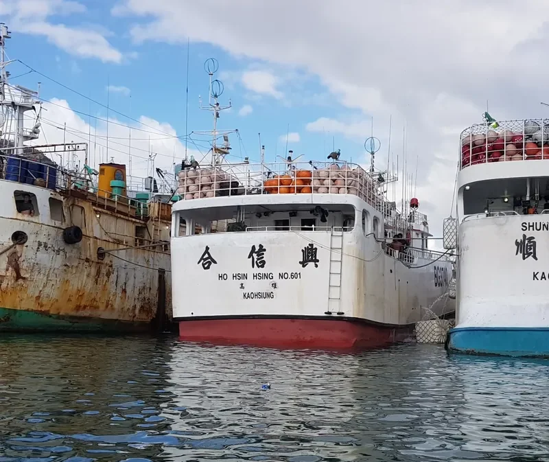HO HSIN HSING 601 General Cargo IMO 9723576 photo 3