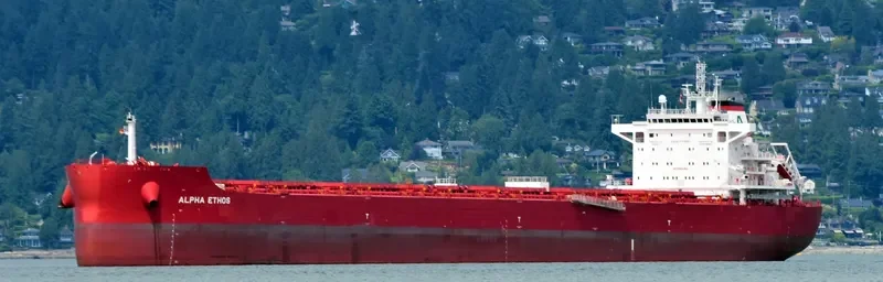 ALPHA ETHOS Bulk Carrier IMO 9723617 photo 2