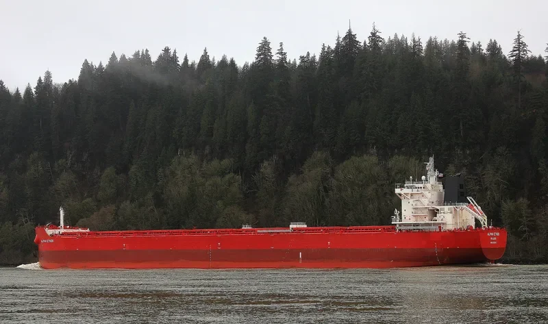 ALPHA ETHOS Bulk Carrier IMO 9723617 photo 8