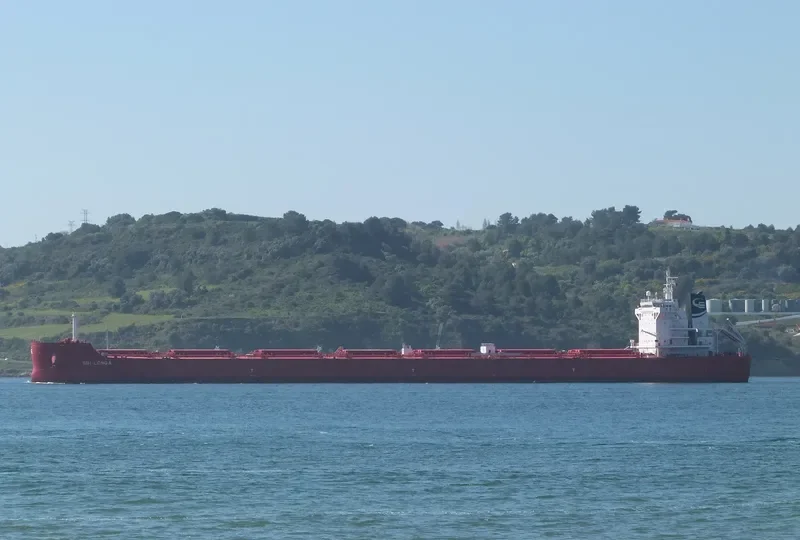 GALAXY GLOBE Bulk Carrier IMO 9723629