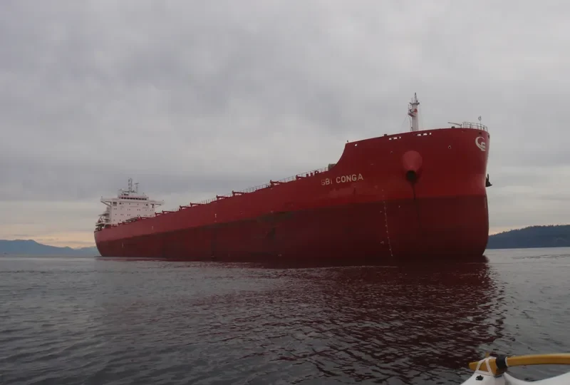 GALAXY GLOBE Bulk Carrier IMO 9723629 photo 6