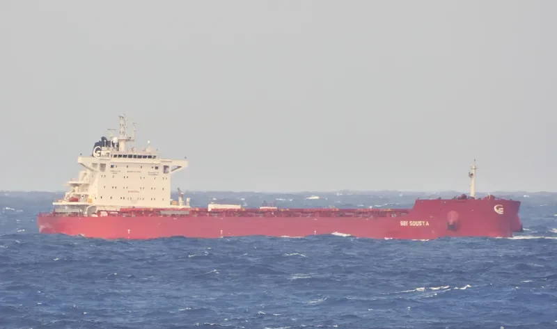 ERMIS Bulk Carrier IMO 9723643