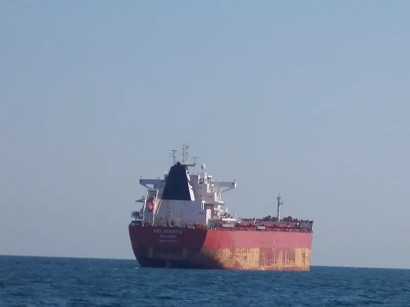 ERMIS Bulk Carrier IMO 9723643 photo 2