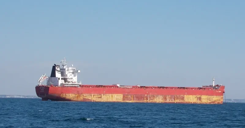 ERMIS Bulk Carrier IMO 9723643 photo 3