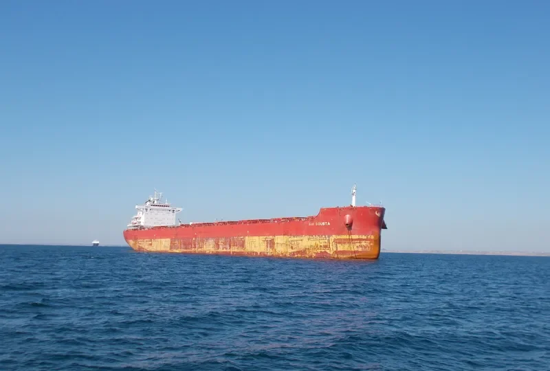 ERMIS Bulk Carrier IMO 9723643 photo 4
