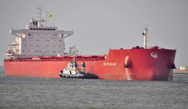 IRINA Bulk Carrier IMO 9723655 photo 8