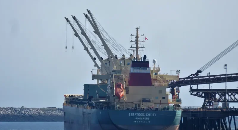 STRATEGIC ENTITY Bulk Carrier IMO 9723710 photo 2