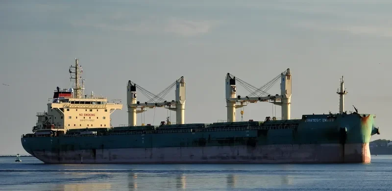 STRATEGIC ENTITY Bulk Carrier IMO 9723710 photo 3