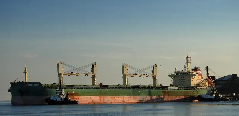 STRATEGIC ENTITY Bulk Carrier IMO 9723710 photo 4