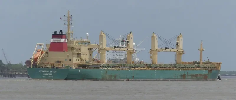 STRATEGIC ENTITY Bulk Carrier IMO 9723710 photo 7