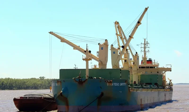 STRATEGIC ENTITY Bulk Carrier IMO 9723710 photo 10