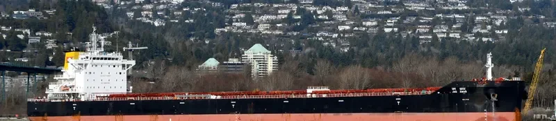 JAG AMAR Bulk Carrier IMO 9723851 photo 3