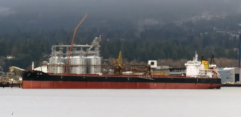 JAG AMAR Bulk Carrier IMO 9723851 photo 7