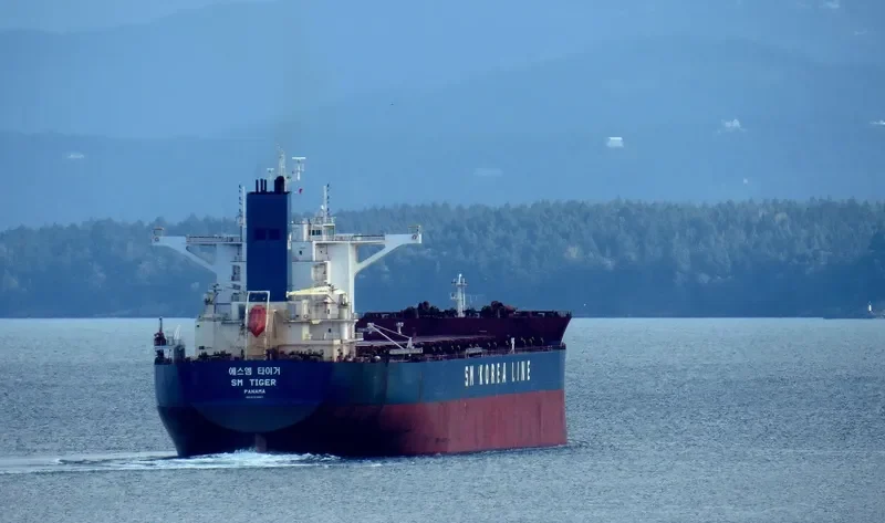 SM TIGER Bulk Carrier IMO 9723887
