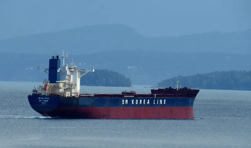 SM TIGER Bulk Carrier IMO 9723887 photo 2
