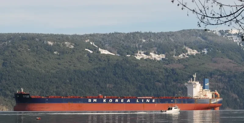 SM TIGER Bulk Carrier IMO 9723887 photo 3
