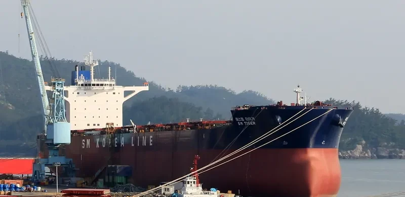 SM TIGER Bulk Carrier IMO 9723887 photo 4