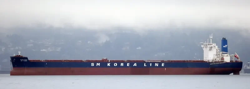 SM TIGER Bulk Carrier IMO 9723887 photo 6
