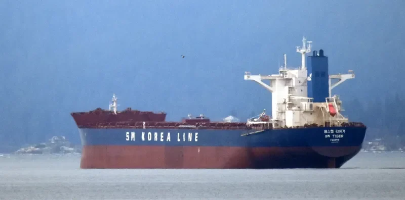 SM TIGER Bulk Carrier IMO 9723887 photo 7