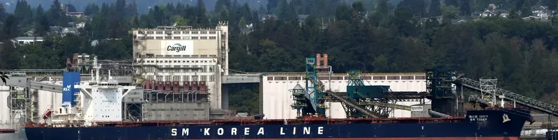 SM TIGER Bulk Carrier IMO 9723887 photo 8