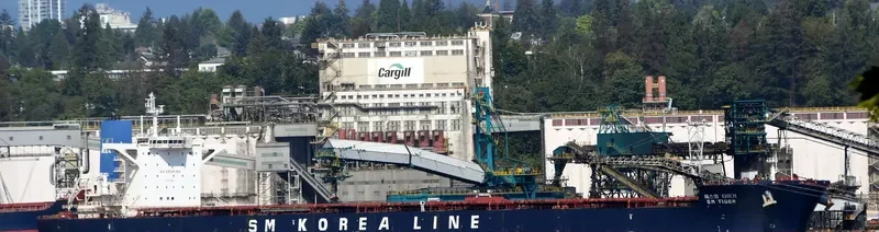SM TIGER Bulk Carrier IMO 9723887 photo 9